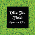 Villa Tea Fields